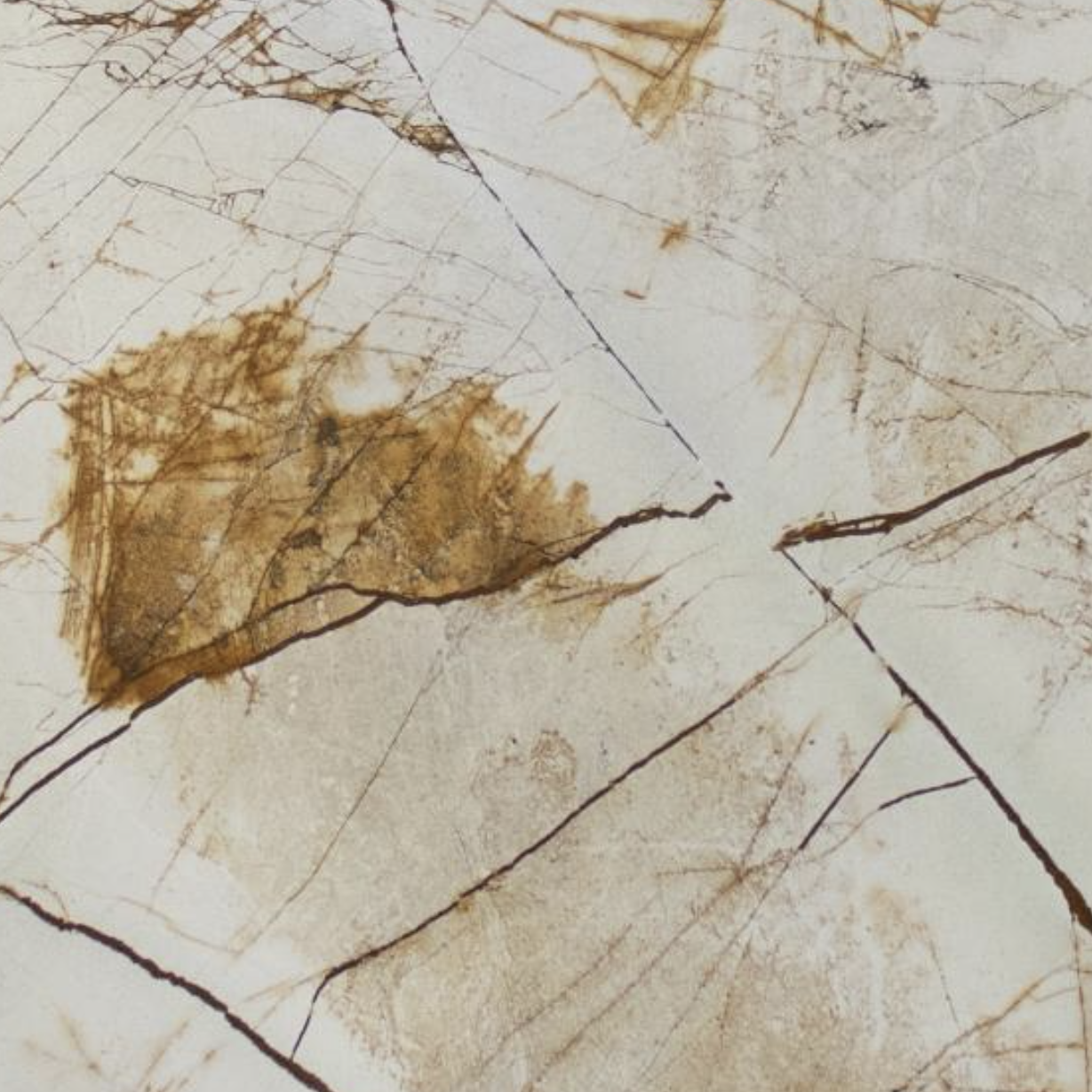 Close-up of a textured beige and brown surface with cracks and patterns