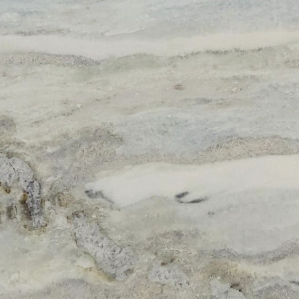 Two seals on a sandy beach with a blurred background